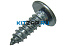 ����_����_22