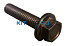 ���� ������� ����������_����_19